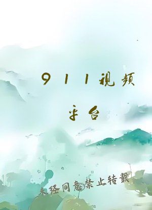 911视频平台
