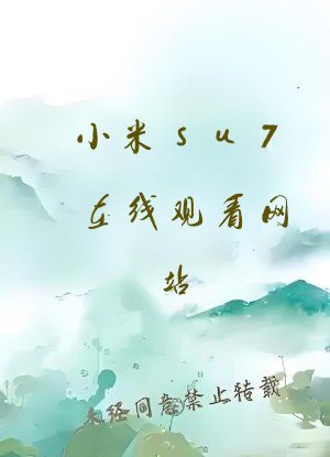 小米su7在线观看网站