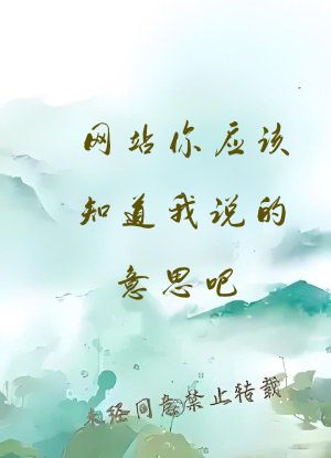网站你应该知道我说的意思吧