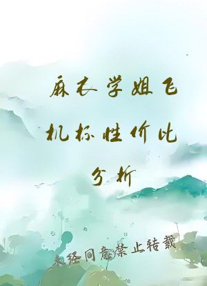 麻衣学姐飞机杯性价比分析